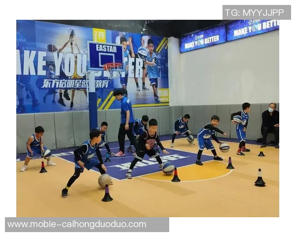 实时新闻篮球装备选购指南如何选择适合自己的篮球和配件推荐